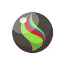 zygardite
