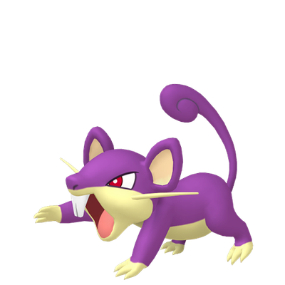 コラッタ - Pokémon Info, Stats & where to find it - PokéPC