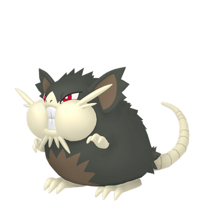 Raticate (Alolan Form) - Pokémon Info, Stats & where to find it - PokéPC