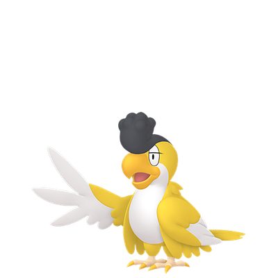 怒鸚哥 (Yellow Plumage) - Pokémon Info, Stats & where to find it - PokéPC