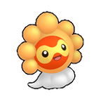 0351-sunny