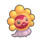 0351-sunny