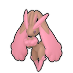 0428